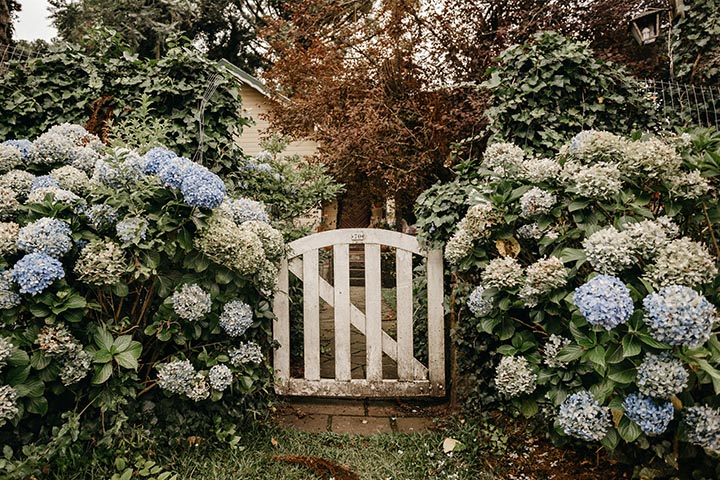 Experience Timeless Elegance with Southwest Garden Gates